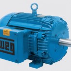 Solutions for Oil and Gas WEG Motors